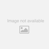 SD_IP8215_F